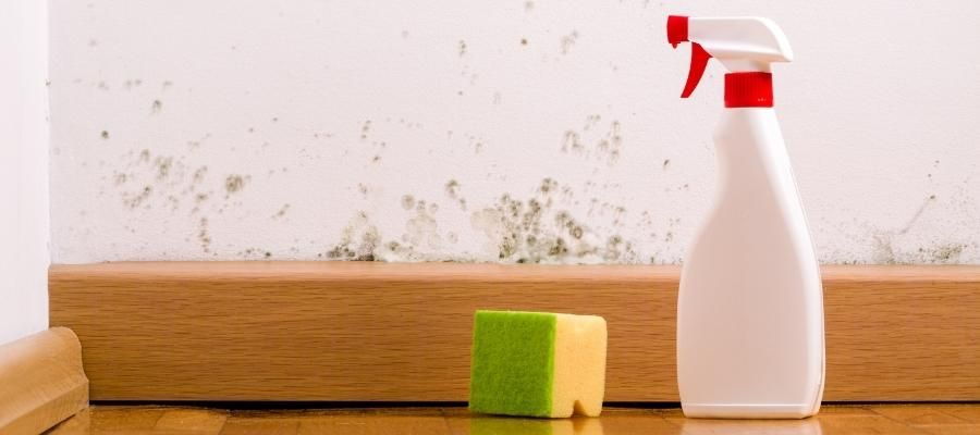 Rutubetle Savaşan En İyi Malzemeler Hangileridir?