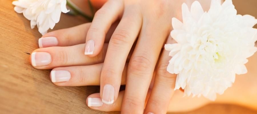 Kendi Törpünüzü Yaparken Nelere Dikkat Etmelisiniz?