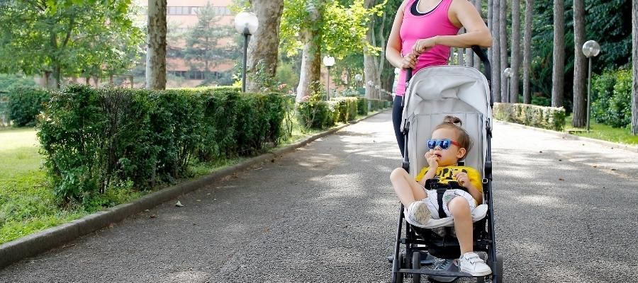 Baston Pusetin Özellikleri ve Avantajları