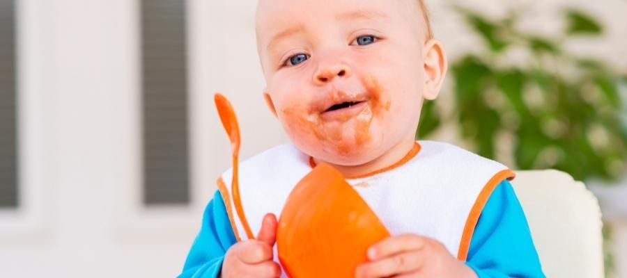 Bebek Tarhanasının Pişirilmesi ve Püre Haline Getirilmesi