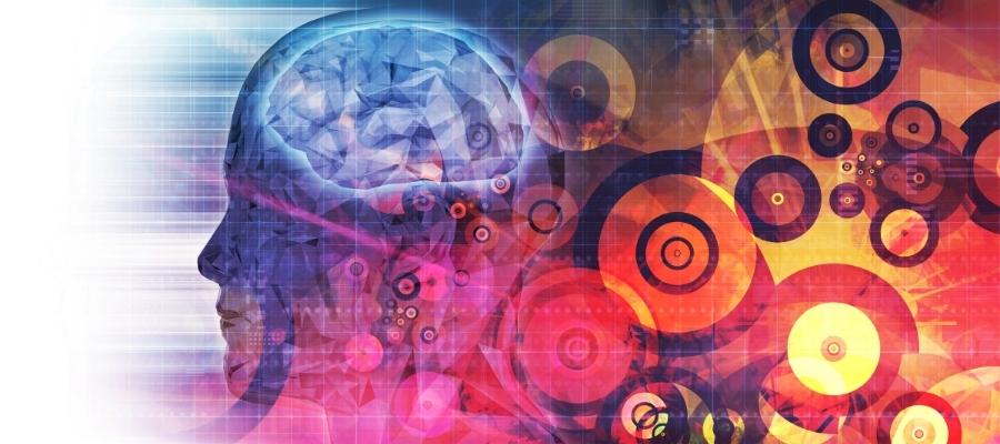 Doğadan İlham: Biyomimetik Nedir ve Uygulama Alanları Nelerdir?