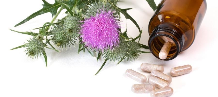 Milk Thistle Bitkisinin Özellikleri ve Yetişme Alanları
