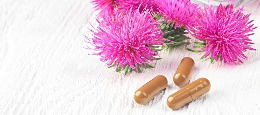 Milk Thistle Takviyesi Nasıl Kullanılmalıdır?