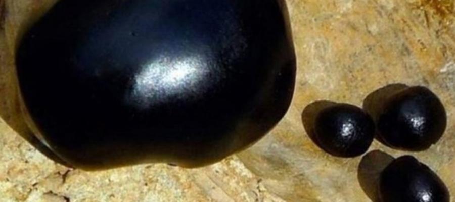 Mumiyonun Kökeni ve Oluşumu