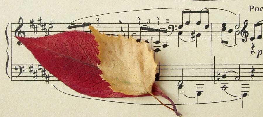 Gam ve Akort İlişkisi