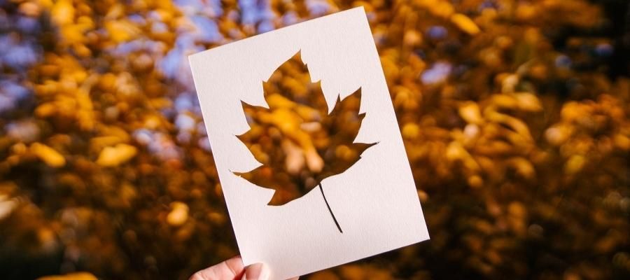Stencil Kullanımı ve Farklı Uygulama Alanları