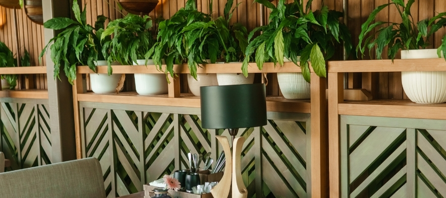 Biyofilik Tasarımın Sağladığı Faydalar