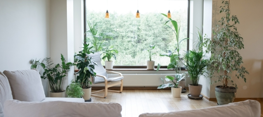 Ev ve Ofislerde Biyofilik Tasarım Uygulamaları