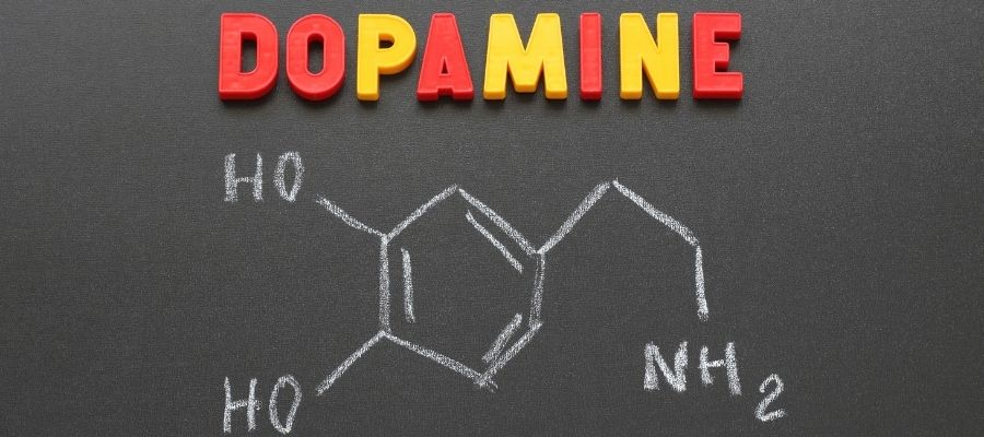 Beyin Kimyasında Önemli Rol: Dopamin Nedir?