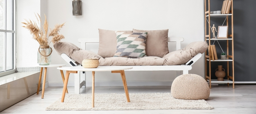 Ev Hijyeni Sorunları: Halı Böceği Nereden Gelir?