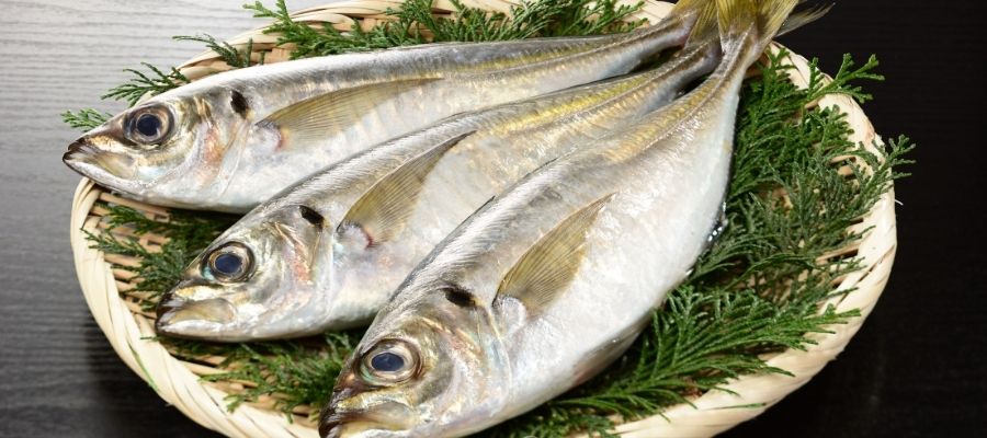Balık Pişirme Sanatı: İstavrit Nasıl Temizlenir?