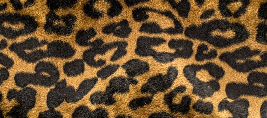 Moda Dünyası: Leopar Hangi Renkle Kullanılır?