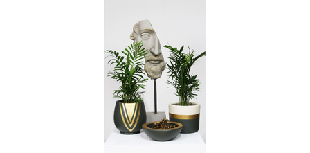 Bütçeye Uygun Zeus Büst Fiyatları