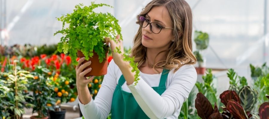 Çiçek Coşturanın Etkileri ve Bahçe Bakımı