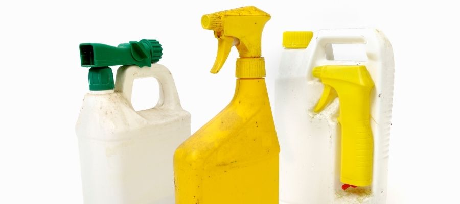 Deri Böceği Sorununu Kalıcı Çözme Yolları
