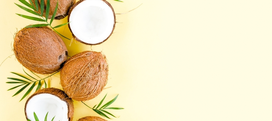 Kaliteli Hindistan Cevizini Tanıma Yolları