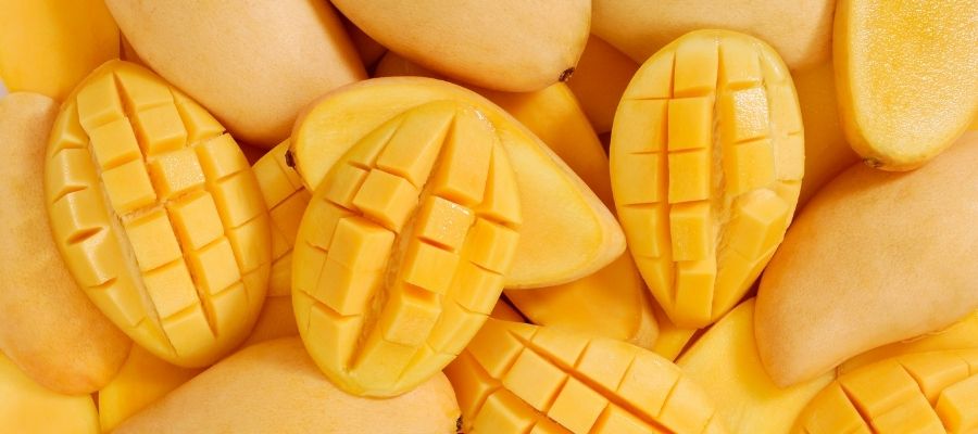 Mango Yetiştirirken Karşılaşılan Sorunlar ve Çözümleri