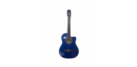 Bütçe Dostu Mavi Gitar Fiyatları