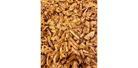 Selanik Gevreği Kullanımı