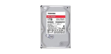 Toshiba P300 1 TB için Özel Teknik Detaylar