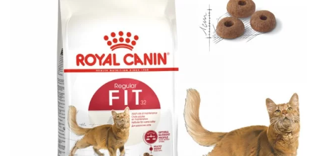 Royal Canin Fit 32 Yetişkin Kedi Mamasının İçeriği Nedir?