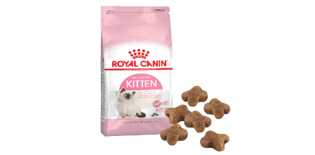 Royal Canin Kitten Yavru Kedi Mamasının İçeriği Nedir?