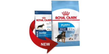 Royal Canin Maxi Büyük Irk Maması Hangi Köpekler İçin Uygun?