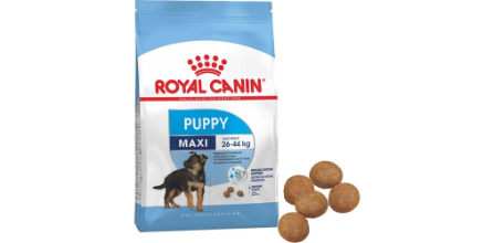 Royal Canin Maxi Büyük Irk Yavru Köpek Maması Kaliteli mi?