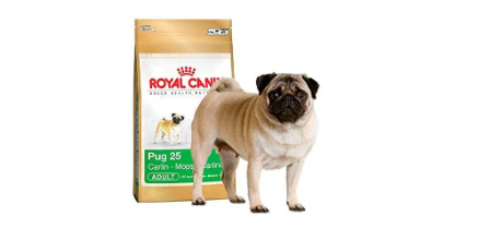 Royal Canin Pug Irkı Yavru Köpek Maması Faydalı mıdır?