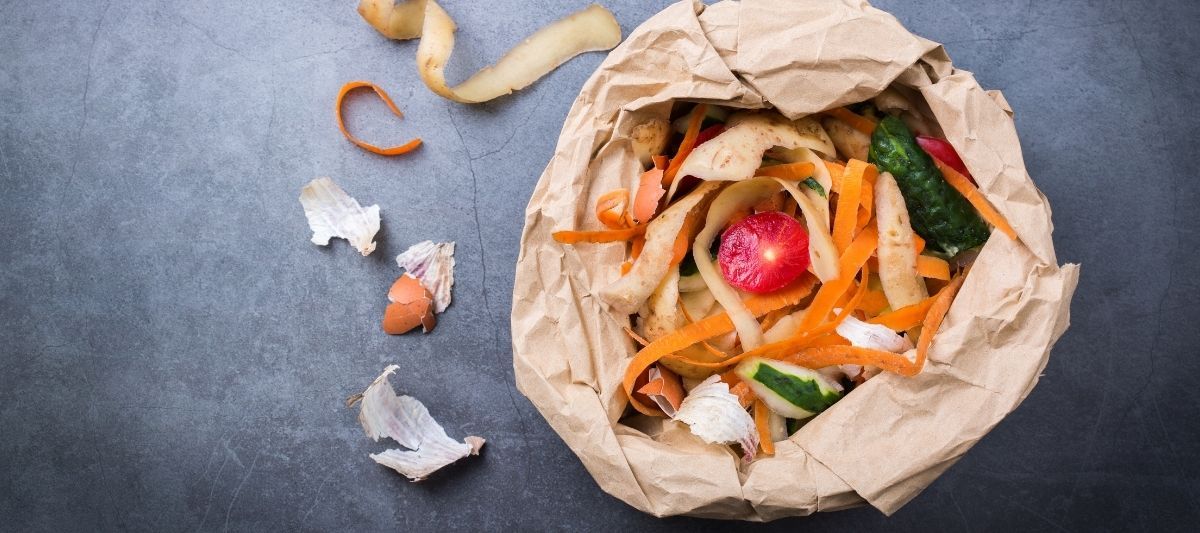  Kompost Nedir? Ne İşe Yarar? 