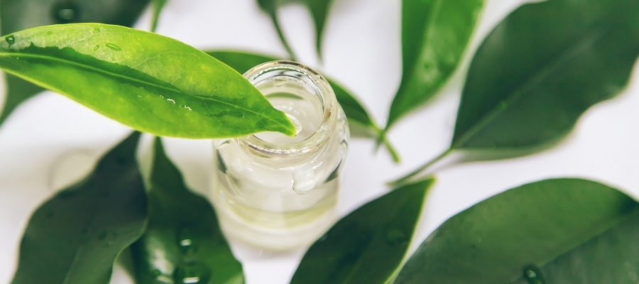 Çay Ağacı Toniği Kullanmanın En İyi Yolları