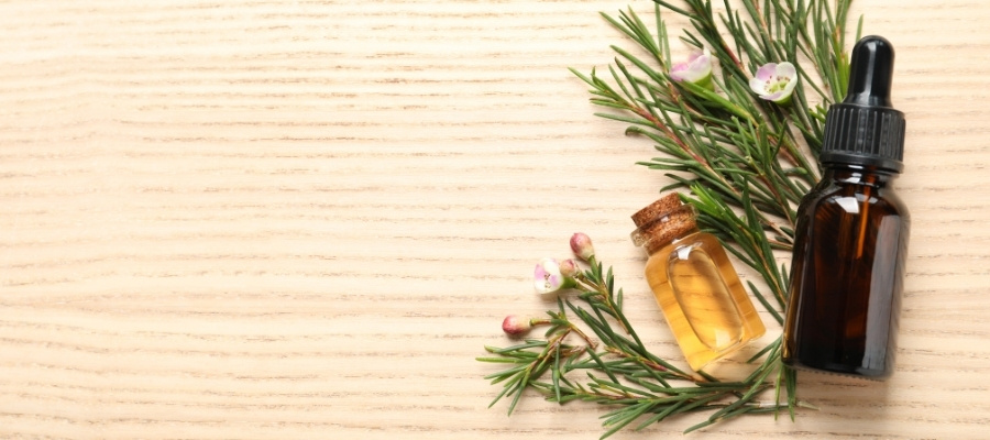 Doğal İyileştirici: Çay Ağacı Toniği Faydaları