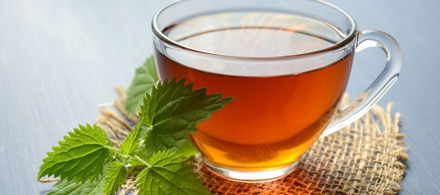 Sağlıklı Bir Yaşam için Çay İçme Alışkanlıkları
