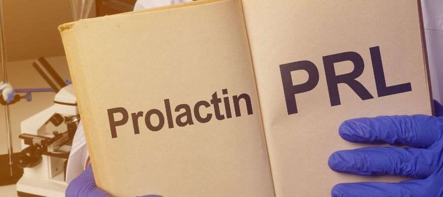 Prolaktin Düzeyini Azaltan Besinler
