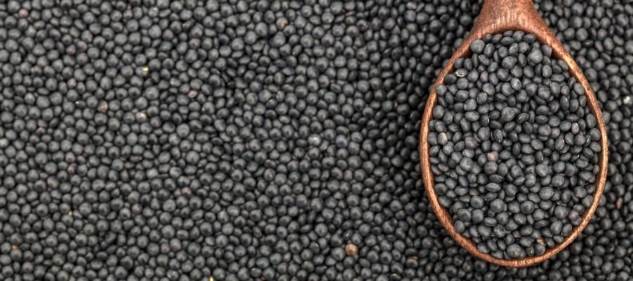 Siyah Mercimeğin Protein, Lif ve Vitamin Deposu Olması