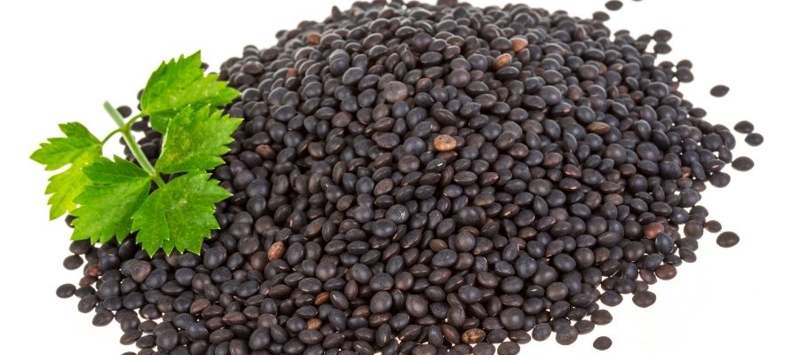 Siyah Mercimeğin Kolesterolü Düşürücü ve Kan Şekerini Dengede Tutucu Etkileri