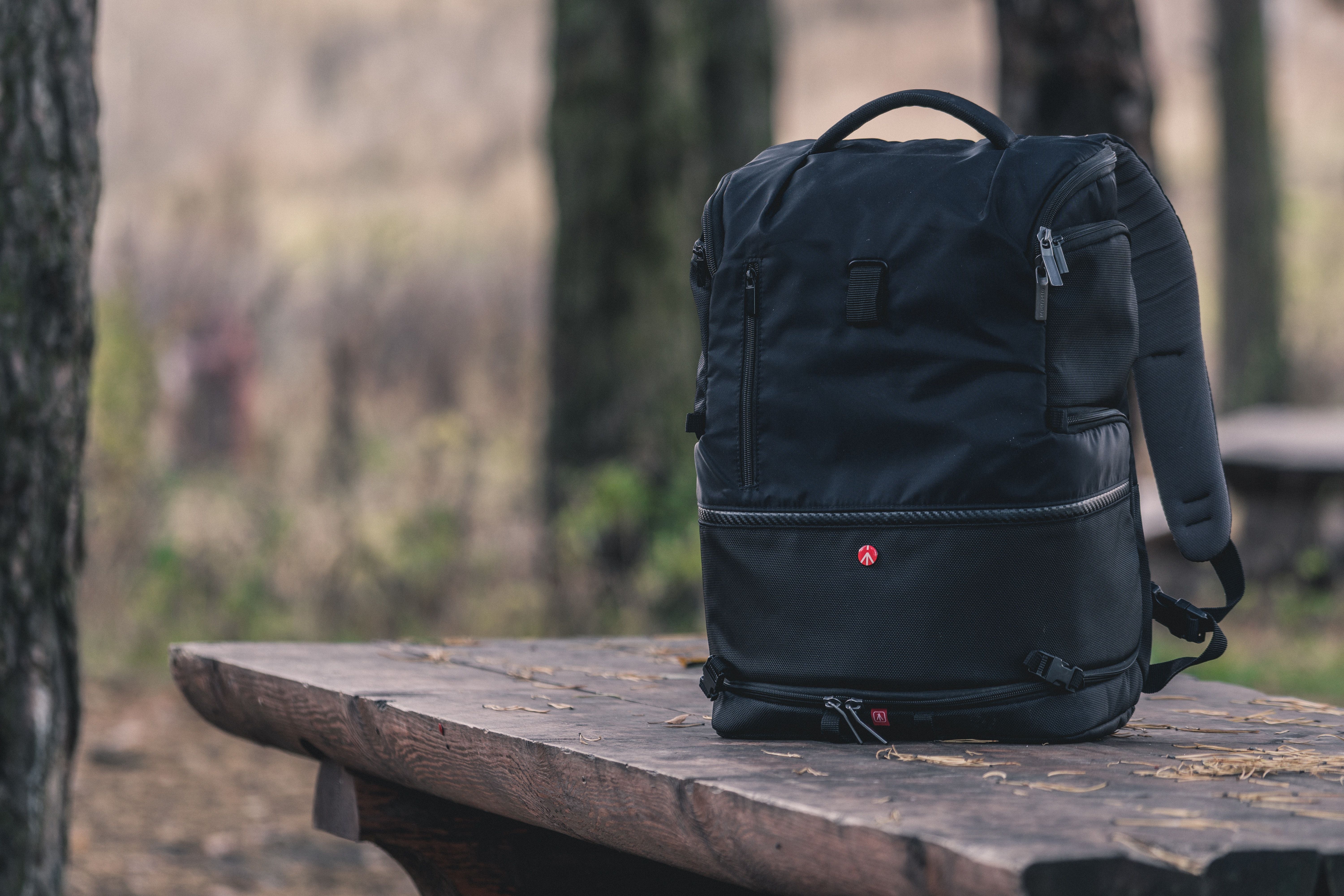 Backpack. Подозрительный рюкзак. Рюкзак с деревом. Бэг рюкзак. Рюкзак на столе.