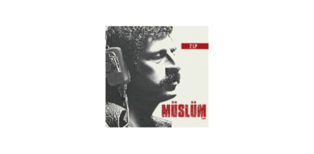 Pal Müslüm Baba Film Müzikleri (2 Lp) Plak Yorum