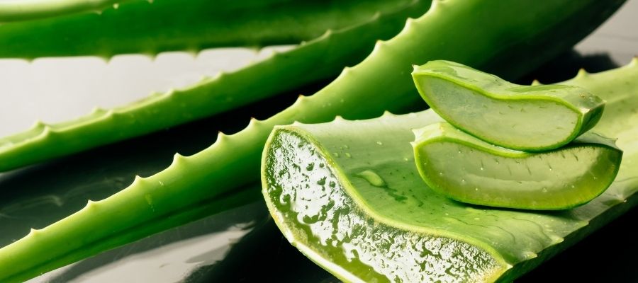 Aloe Vera Kullanarak Evde Doğal Cilt Bakımı