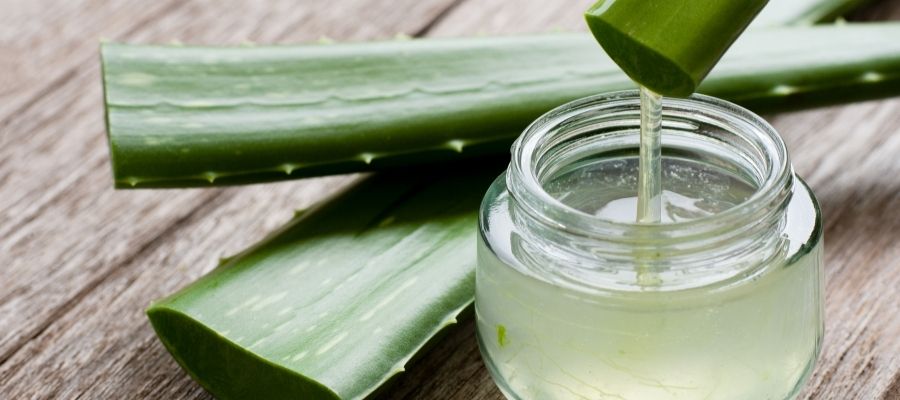 Aloe Vera Nasıl Kullanılır? Cilt ve Saç için İpuçları