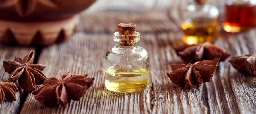 Anason Neye İyi Gelir? Faydaları ve Kullanımı