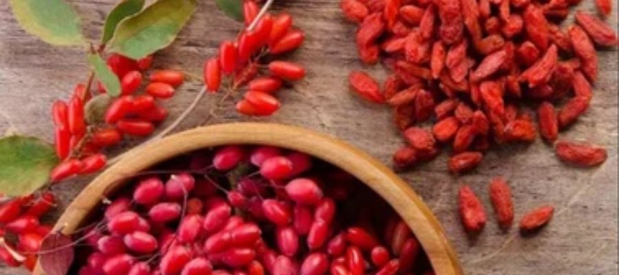 Berberin'in Metabolizma Üzerindeki Etkileri
