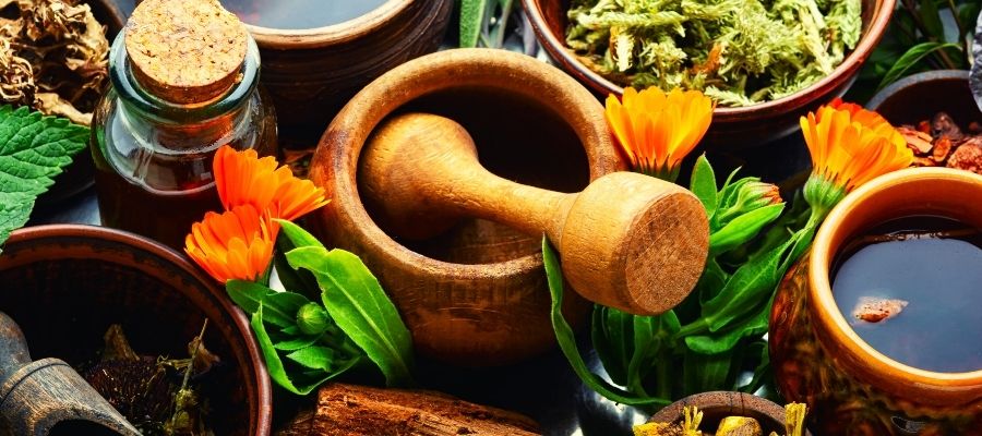 Bitkisel Tedavi Yöntemleri ve Faydaları Nelerdir?