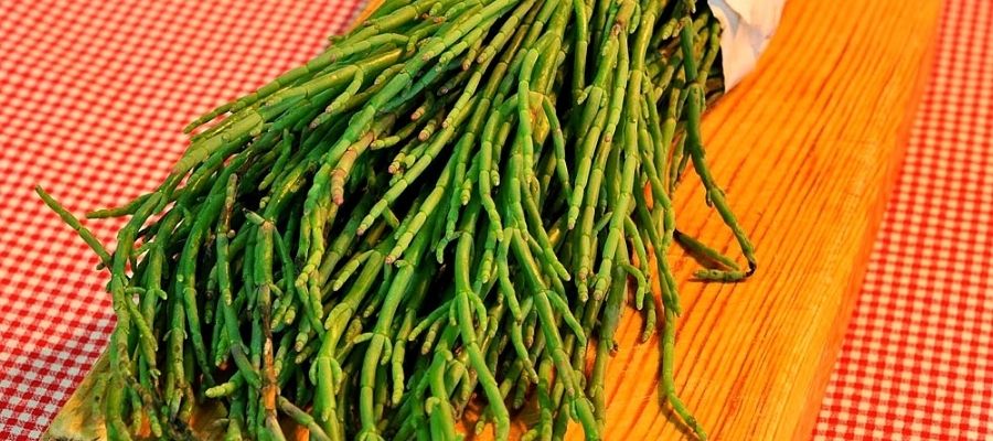 Deniz Börülcesi Nedir? Deniz Börülcesinin Faydaları Nelerdir?