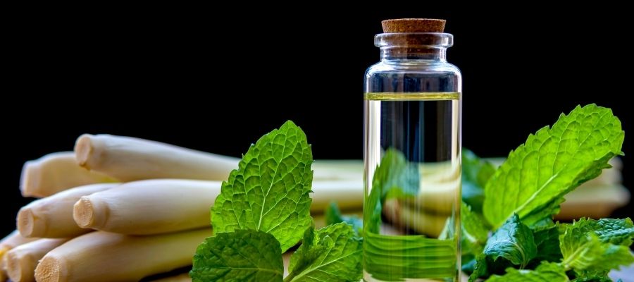 Evde Kolonya Yapımı İçin Gerekli Malzemeler