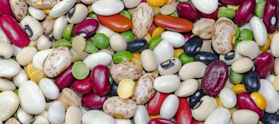Fasulyenin Faydaları Nelerdir? Besleyici ve Sağlıklı Tarifler