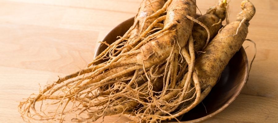 Ginseng'in Tarihçesi ve Çeşitleri