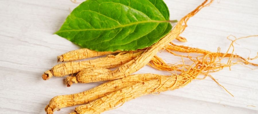 Ginseng Nasıl Kullanılır? Faydaları Nelerdir?