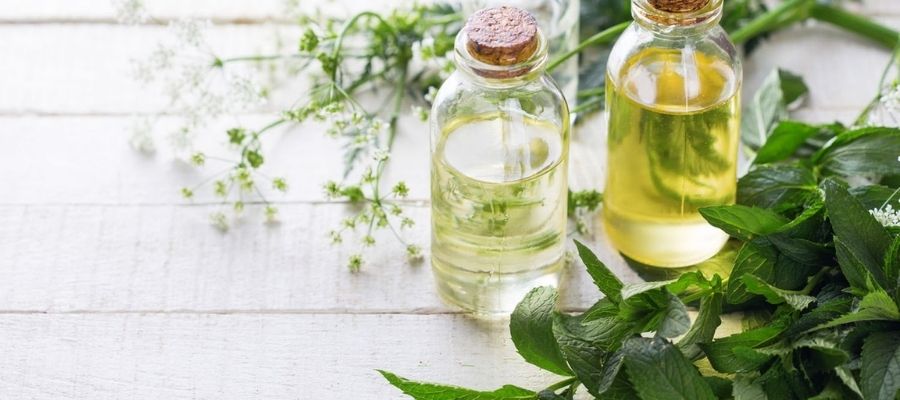 Lakva Yağı Faydaları ve Şifa Kaynağı Olarak Kullanımı