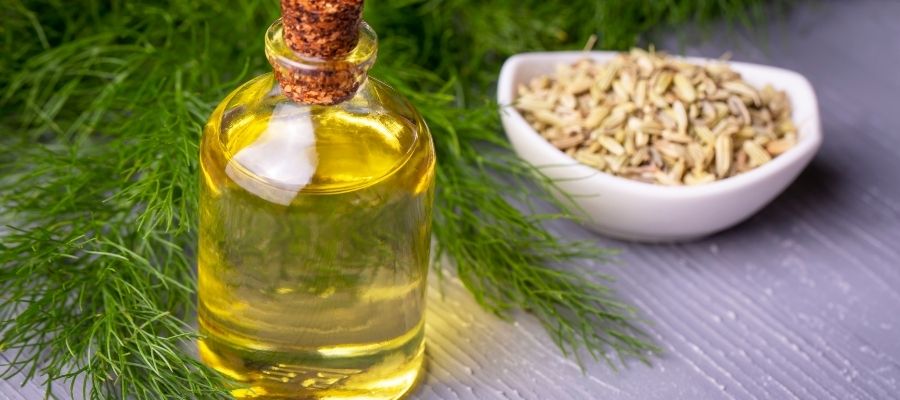 Rezene Yağı Kullanımında Dikkat Edilmesi Gerekenler